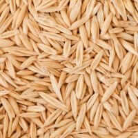 whole oats.jpg